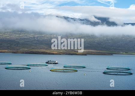 Lachsfarm im Fjord bei Djupivogur, Ostfjorde, Island. Stockfoto