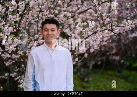 Glücklicher, lächelnder junger Mann aus Asien mit rosa Sakura-Blüten-Blumenbaum Stockfoto