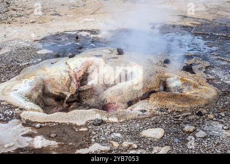 Heiße Quelle Eyvindarhver, Hveravellir Geothermalgebiet, Island Stockfoto