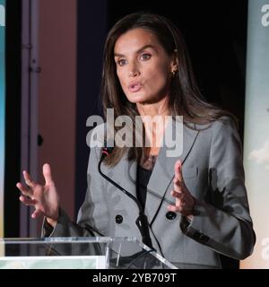 Madrid, Spanien. Oktober 2024. Königin Letizia von Spanien bei der institutionellen Veranstaltung des „Welttages der psychischen Gesundheit 2024“ am 17. Oktober 2024 in Madrid, Spanien. Quelle: SIPA USA/Alamy Live News Stockfoto