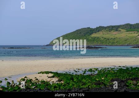 Wunderschöner Sandstrand, blaues Meer und Seoubong Gipfel auf der Insel Jeju, Südkorea Stockfoto