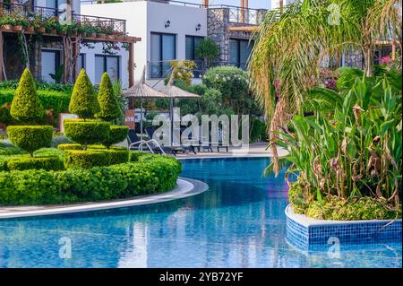 Ein wunderschönes Resort verfügt über einen kristallklaren Pool, der den blauen Himmel reflektiert, umgeben von sorgfältig getrimmten Hecken und tropischen Pflanzen, die relaxa einladen Stockfoto