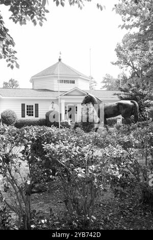 Victorian Hill Memorial Park Museum, Heimstadion des Carolina Cup, in Camden, South Carolina, USA. Stockfoto