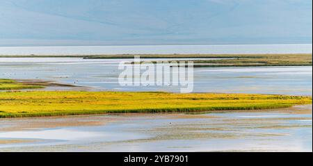 Mehrdimensionaler Panoramablick auf den Son Kul See in Kirgisistan. Zahlreiche Wasservögel verschiedener Arten schwimmen entlang. Stockfoto