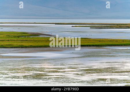 Mehrdimensionaler Panoramablick auf den Son Kul See in Kirgisistan. Zahlreiche Wasservögel verschiedener Arten schwimmen entlang. Stockfoto