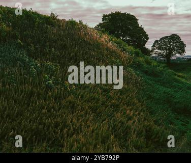 The Inner Bailey, Medieval Castle, Old Sarum, Salisbury, Wiltshire, England, Großbritannien, GB. Stockfoto