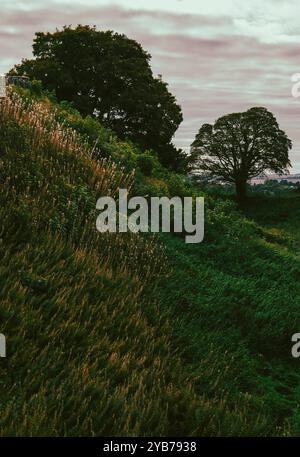 The Inner Bailey, Medieval Castle, Old Sarum, Salisbury, Wiltshire, England, Großbritannien, GB. Stockfoto