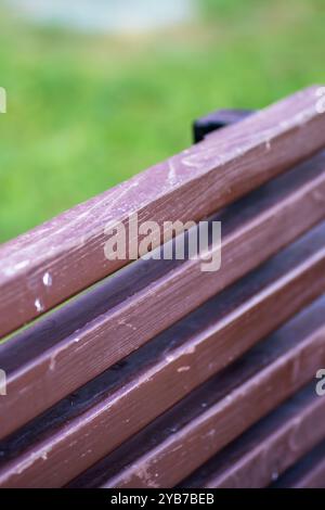 Dies ist ein detailliertes Nahaufnahme-Bild einer wunderschön gearbeiteten Holzbank mit leuchtendem grünem Gras im Hintergrund, die eine ruhige Außenlandschaft schafft Stockfoto