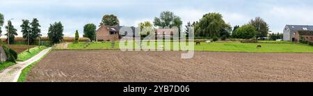 Extra großer Panoramablick über gepflügte landwirtschaftliche Felder in der flämischen Landschaft in Boutersem, Flämisch-Brabant, Belgien Stockfoto