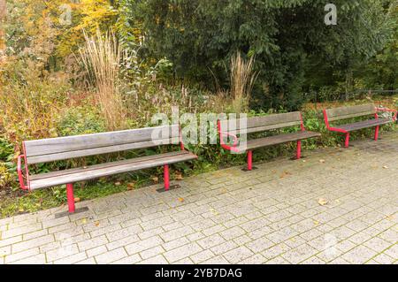 Vier leere Bänke stehen auf einem gepflasterten Gelände in einem Park, umgeben von farbenfrohen Herbstlaub Stockfoto