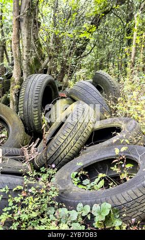 Alte, ausgediente Fahrzeugreifen, illegal entsorgt, Fliegenkippe, Umwelt-, Verschmutzungskonzept Stockfoto