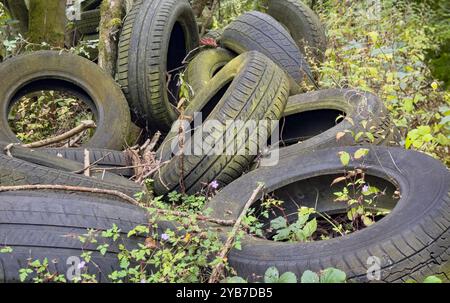 Alte, ausgediente Fahrzeugreifen, illegal entsorgt, Fliegenkippe, Umwelt-, Verschmutzungskonzept Stockfoto