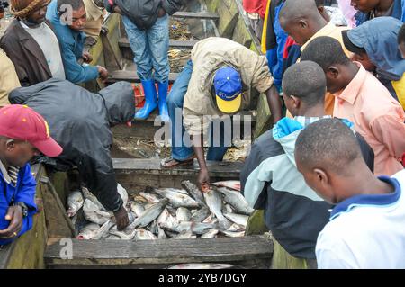 Fischer sortieren ihren Fang in Kasensero am Ufer des Victoria-Sees - Uganda Stockfoto