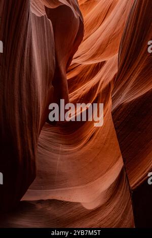Fließende Gesteinsbildung. Natürliche Schönheit des Lower Antelope Canyon in Page, Arizona Stockfoto
