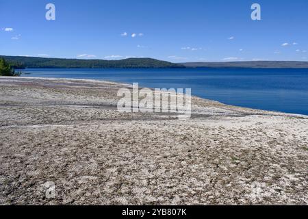 Ufer des Yellowstone Lake im Yellowstone National Park, USA Stockfoto