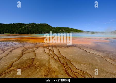 Grand Prismatic Spring Weitwinkellandschaft. Im Midway Geyser Basin, Yellowstone National Park, USA Stockfoto