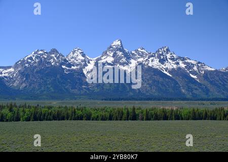 Grand Teton, Berg der Teton Range im Grand Teton National Park, Wyoming, USA Stockfoto