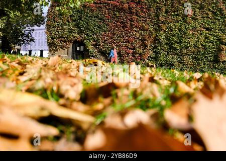 Horse Guards, London, Großbritannien. Oktober 2024. Wetter in Großbritannien: Die Herbstfarben beginnen in London. Quelle: Matthew Chattle/Alamy Live News Stockfoto