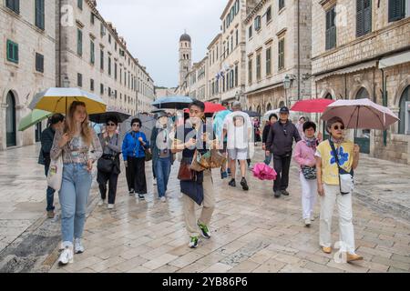 Dubrovnik, Kroatien. Oktober 2024. Touristen laufen und machen Fotos auf Stradun trotz des Regens am 17. Oktober 2024 in Dubrovnik, Kroatien. Foto: Grgo Jelavic/PIXSELL Credit: Pixsell/Alamy Live News Stockfoto