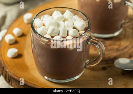 Hausgemachte warme heiße Schokolade mit Marshmallows in einer Tasse Stockfoto