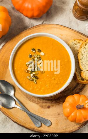 Hausgemachte Herbstkürbis-Suppe mit Creme und Samen in einer Schüssel Stockfoto