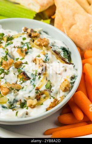 Hausgemachter persischer Borani-Dip mit Zwiebeln, Walnüssen und Joghurt Stockfoto