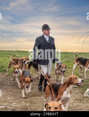 huntsman zu Fuß mit einem Haufen Fuchshunde Stockfoto