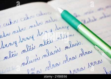 Nahaufnahme tschechischer Wörter, geschrieben von einem Kind in Kursivschrift in einem Notizbuch, ein grüner Stift im Hintergrund. Stockfoto