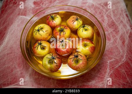 Ein Halloween-Apfel-Wackelspiel auf einem gruseligen, roten halloween-Dekorationstisch mit Spinnen, die auf der Frucht platziert sind Stockfoto
