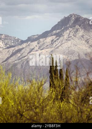 Mt Lemmon, Santa Catalina Mountain Range, Tucson, Arizona Stockfoto