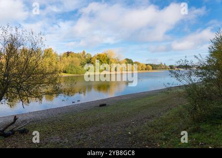 Edgbaston Reservoir in Birmingham im Herbst Sonnenschein, der zur Wasserversorgung des Kanalnetzes genutzt wird Stockfoto