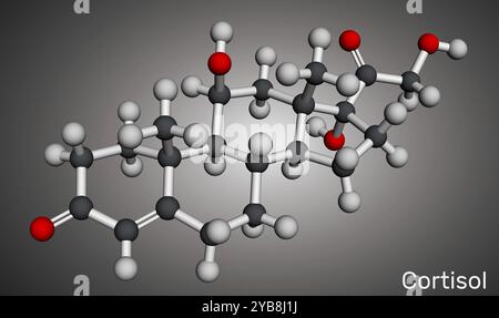 Cortisol, Hydrocortison-Steroidmolekül. Stresshormon, das am Stoffwechsel und der Immunantwort beteiligt ist. Molekulares Modell. 3D-Rendering. Stockfoto