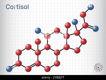 Cortisol, Hydrocortison-Steroidmolekül. Stresshormon, das am Stoffwechsel und der Immunantwort beteiligt ist. Chemische Struktur. Blatt Papier in einem Käfig. Ve Stock Vektor