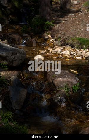 Gebirgsbach in der sierra de guadarrama bei madrid in spanien Stockfoto