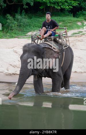 Kanchanaburi, Thailand - 6. April 2011: Mann mit asiatischem Elefant im Fluss Kwai. Stockfoto