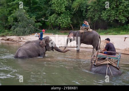 Kanchanaburi, Thailand - 6. April 2011: Drei Männer baden ihre asiatischen Elefanten im Fluss Kwai. Stockfoto