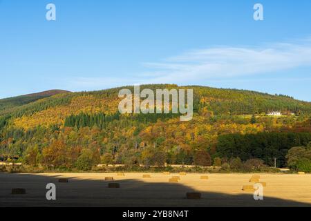 Rothes Glen, Speyside, Moray, Großbritannien. Oktober 2024. Dies ist die niedrige Sonne, die auf die Bäume und andere Pflanzen in ihren Herbstfarben mit einem Feld von Gerstenstrohballen scheint. Quelle: JASPERIMAGE/Alamy Live News Stockfoto