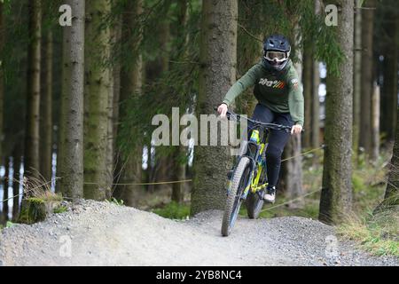 Hahnenklee, Deutschland. Oktober 2024. Ein Mountainbiker ist auf dem Trail im Bikepark. Die Sommersaison auf dem 727 Meter hohen Bocksberg im Landkreis Hahnenklee Goslar dauert bis zum 27.10.2024. Quelle: Swen Pförtner/dpa/Alamy Live News Stockfoto