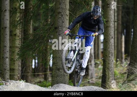 Hahnenklee, Deutschland. Oktober 2024. Ein Mountainbiker ist auf dem Trail im Bikepark. Die Sommersaison auf dem 727 Meter hohen Bocksberg im Landkreis Hahnenklee Goslar dauert bis zum 27.10.2024. Quelle: Swen Pförtner/dpa/Alamy Live News Stockfoto