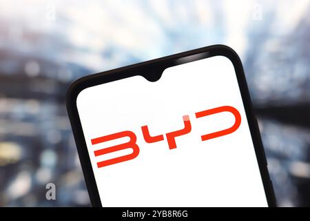 17. Oktober 2024, Portugal. In dieser Abbildung wird das BYD Auto-Logo auf einem Smartphone-Bildschirm angezeigt Stockfoto