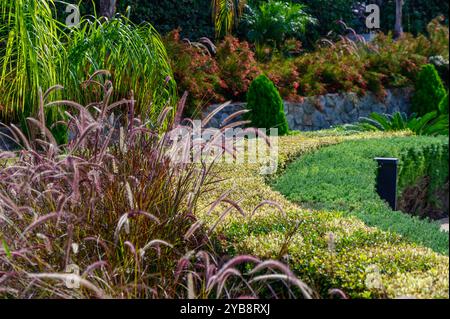 Ein ruhiger Garten mit bunten Gräsern und gepflegten Sträuchern schafft eine friedliche Atmosphäre, die zur Entspannung in der wunderschönen Umgebung einlädt. Stockfoto