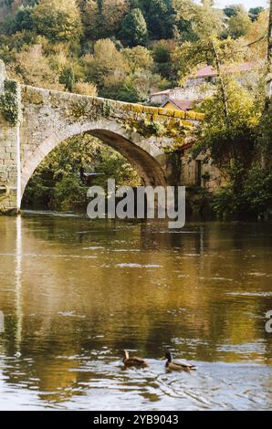 Mittelalterliche Steinbrücke über den Fluss Arnoia in Allariz. Galicien Stockfoto