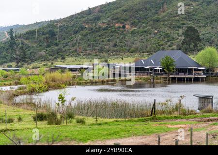 Blick auf das Hauptgebäude des Botlierskop Day Spa Resort Wildreservats im Westkap, Südafrika Stockfoto