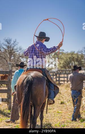 Yoakum, Texas, Usa. März 2022. Cowboy auf einem Pferd, der ein Lasso auf einer Texas Ranch schwingt. Stockfoto