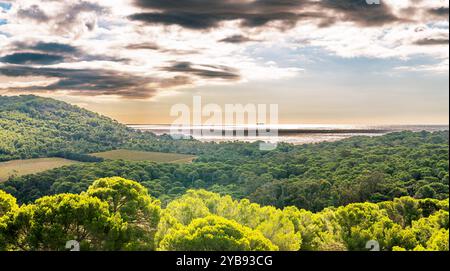 Natur und Felder auf der Insel Porquerolles, im Var, in der Provence, Frankreich Stockfoto