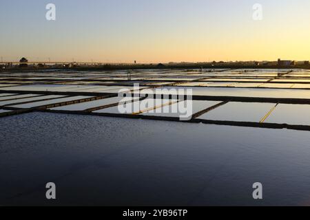 Traditionelle Salzproduktion in Aveiro, Portugal Stockfoto