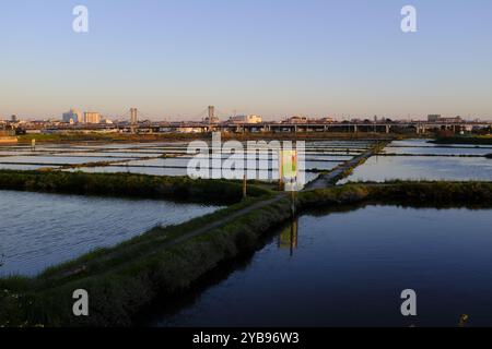 Traditionelle Salzproduktion in Aveiro, Portugal Stockfoto