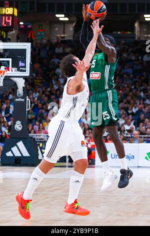 Madrid, Spanien. Oktober 2024. Oktober 2024; Wizink Center; Madrid, Spanien; Turkish Airlines Euroleague Basketball; Spanien, Real Madrid vs Panathinaikos; Euroleague Basket Real Madrid vs Panathinaikos 900/Cordon PRESS Credit: CORDON PRESS/Alamy Live News Stockfoto