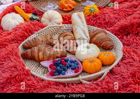 Charlotte, NC, USA. Oktober 2024. Ein lebhaftes Herbstpicknick bietet farbenfrohe Kürbisse, Äpfel, Wurstwaren, frisches Brot, Käse, und warme Getränke. Umgeben von goldenen Blättern und gemütlichen Decken in der frischen Herbstluft. (Kreditbild: © Walter G. Arce Sr./ASP via ZUMA Press Wire) NUR REDAKTIONELLE VERWENDUNG! Nicht für kommerzielle ZWECKE! Stockfoto