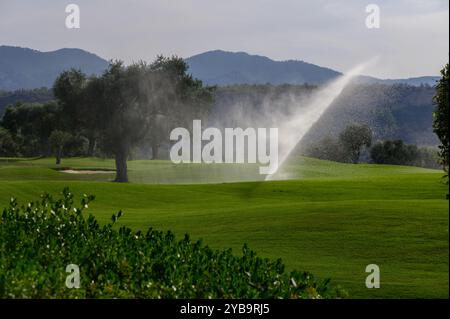 Sanftes Wasser sprüht von einem Sprinkler und pflegt wunderschön gepflegtes Gras auf einem ruhigen Golfplatz, umgeben von sanften Hügeln im Hintergrund. Stockfoto